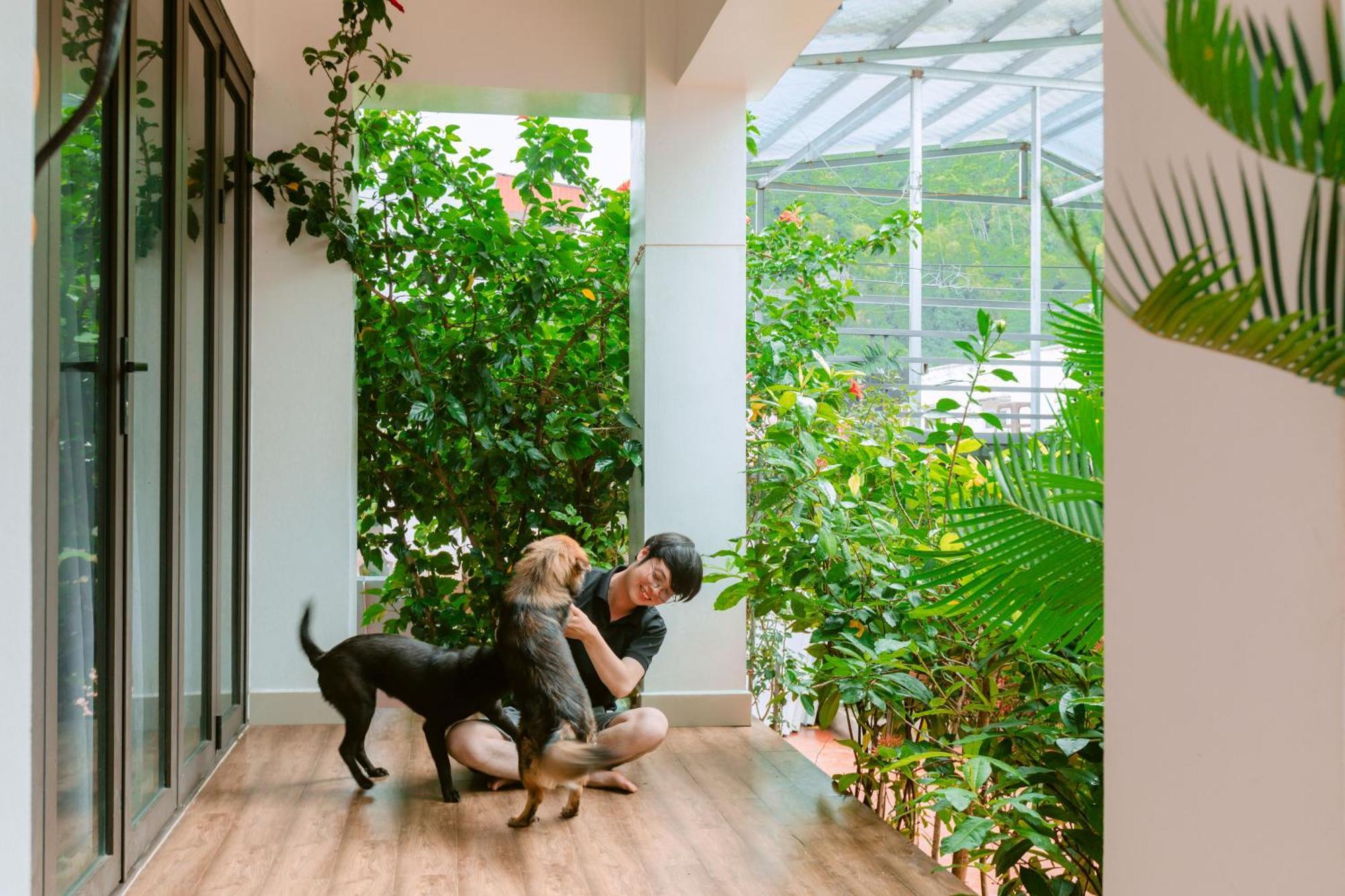 D'Home Homestay Cat Ba Dong Khe Sau Экстерьер фото